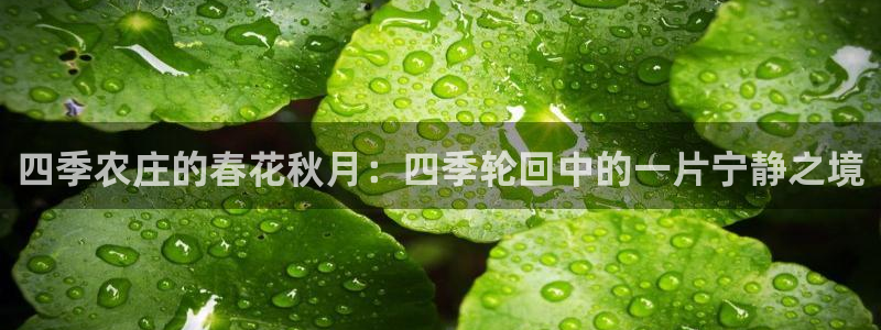 天辰娱乐分红