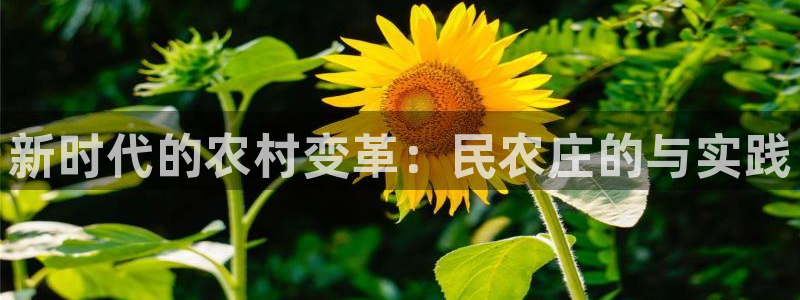天辰娱乐官
