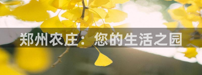 天辰娱乐网址娱乐游戏