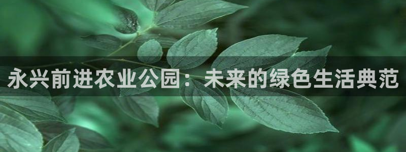 天辰娱乐咋样