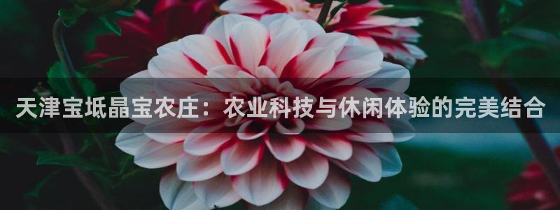 天辰a娱乐