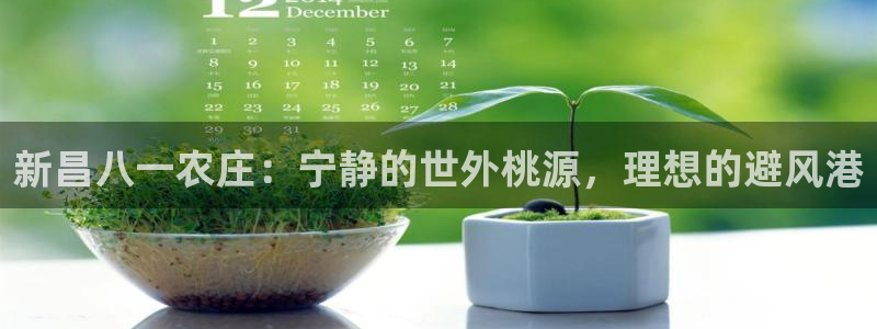 天辰娱乐557448
