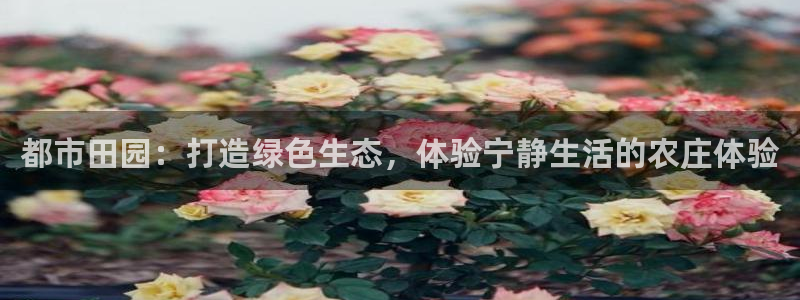 天辰辰娱乐代理