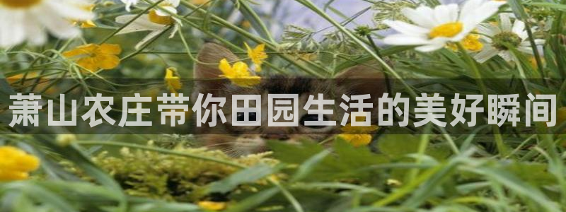 天辰娱乐开户