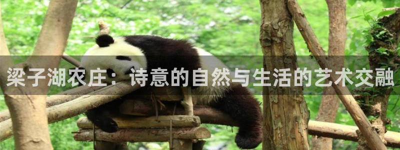 天辰娱乐挂机