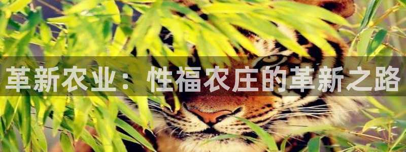 天辰说娱乐