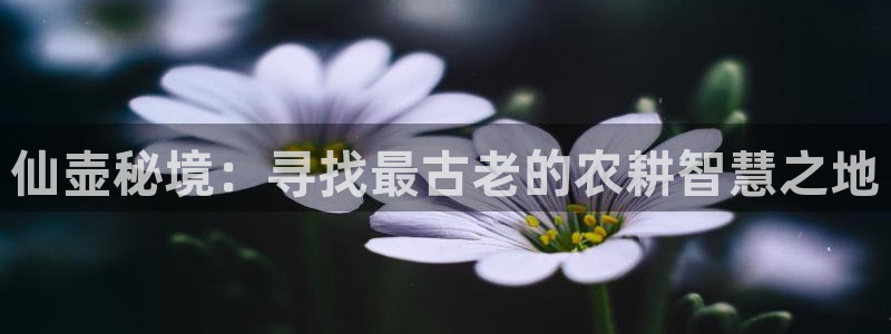 天辰娱乐登录网址