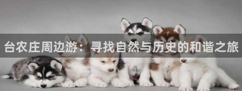 天辰娱乐测速