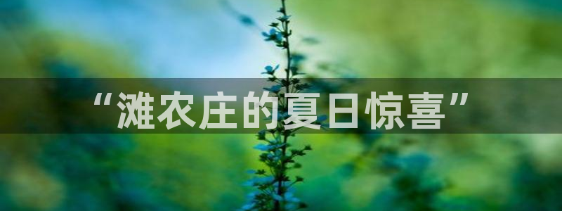 天辰娱乐游戏