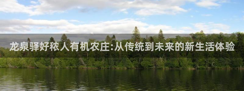 南充天辰娱乐