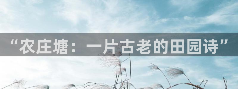 天辰娱乐75775