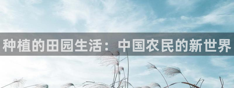 天辰娱乐 728567