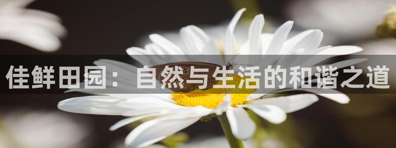 天辰娱乐反水