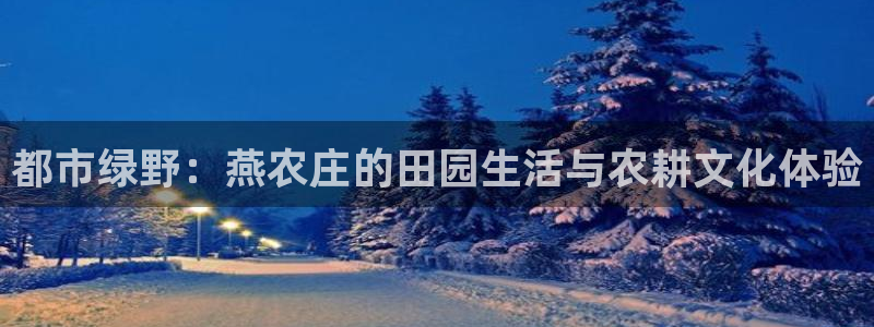 天辰娱乐主管