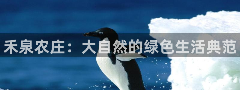 天辰娱乐官方