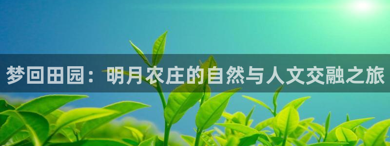天辰在线娱乐