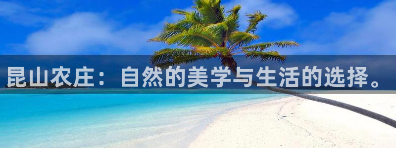 天辰娱乐招商