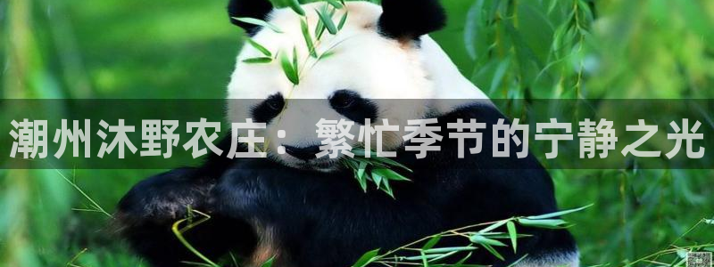 天辰2娱乐