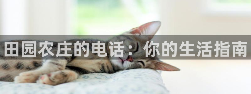 天辰娱乐平台地址