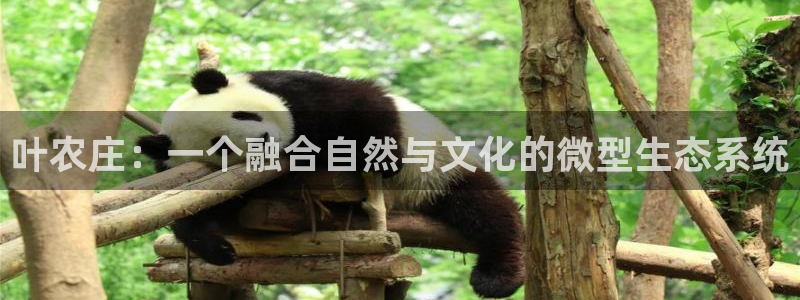天辰app娱乐