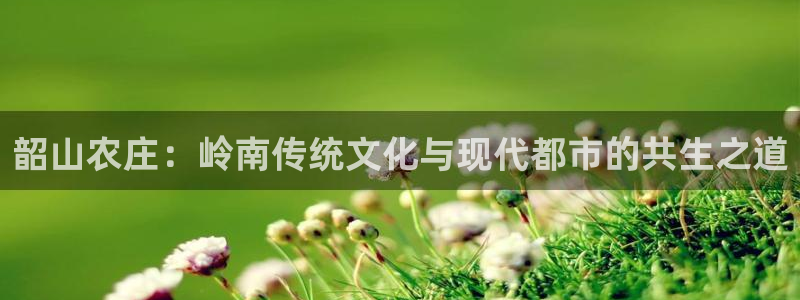 天辰娱乐 44516