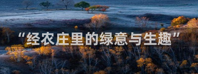 天辰娱乐平台地址