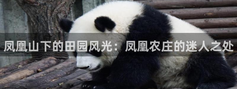 天辰娱乐测速