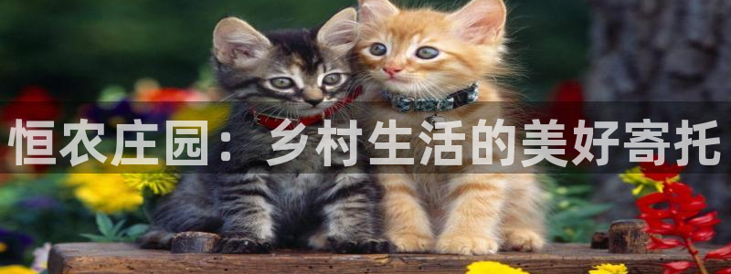 天辰娱乐链接
