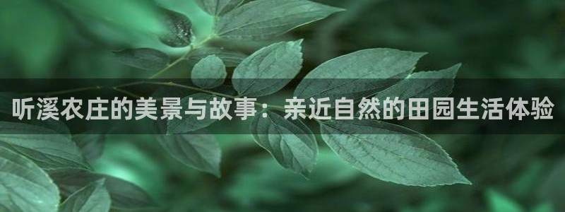 天辰娱乐指定