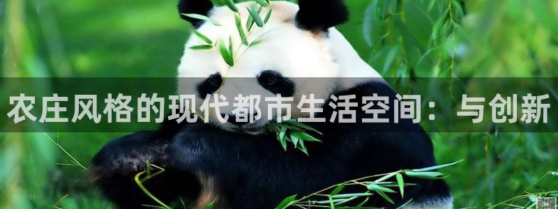 天辰娱乐文案