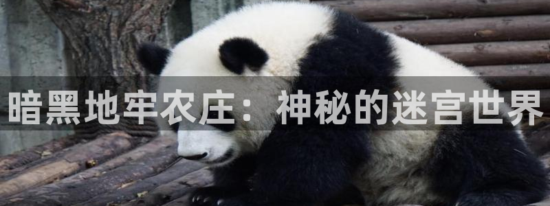 天辰娱乐娱乐
