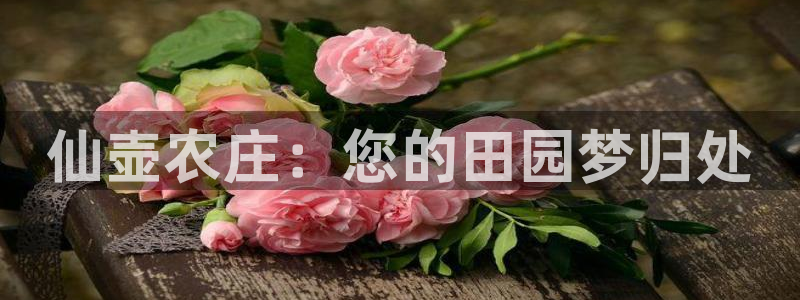 天辰娱乐分红