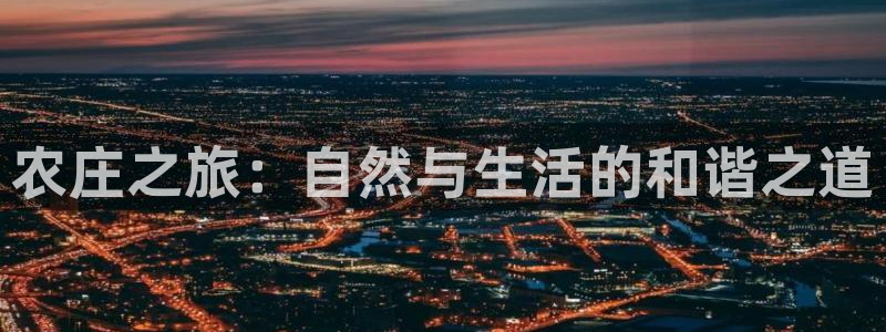 天辰娱乐入口