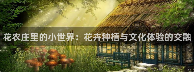 南京天辰娱乐