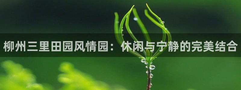 天辰娱乐