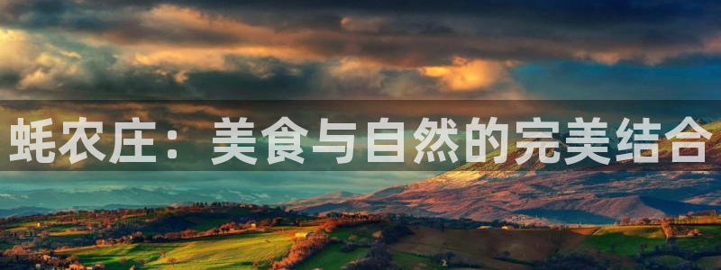 天辰娱乐公司