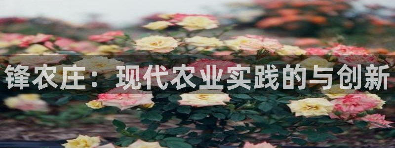 天辰娱乐appxi