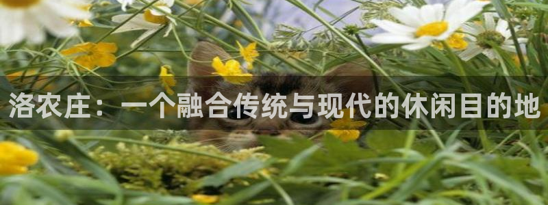 天辰娱乐会所