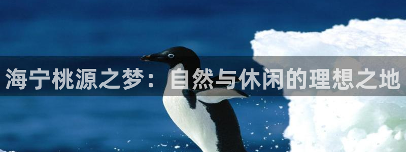 天辰娱乐代理
