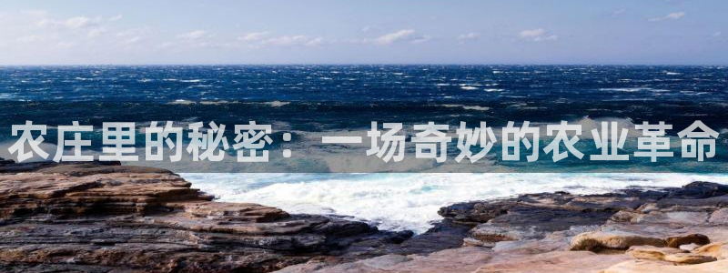 天辰娱乐在哪