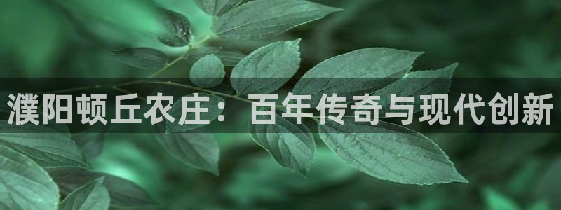 哈尔滨天辰娱乐
