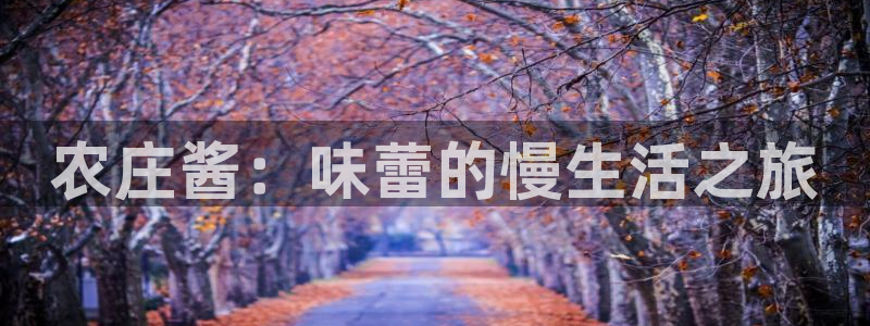 天辰娱乐天辰宝