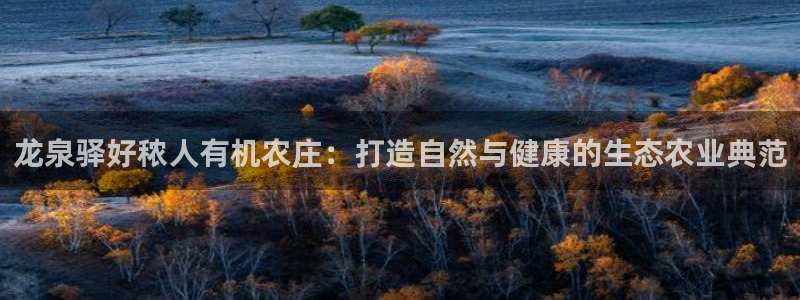 天辰娱乐-18113