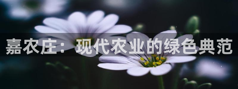 天辰娱乐84566