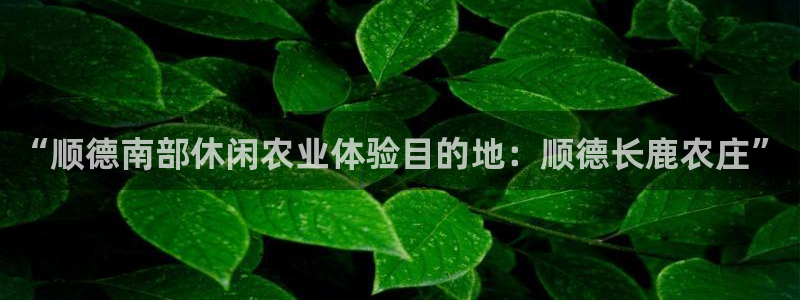 天辰娱乐官