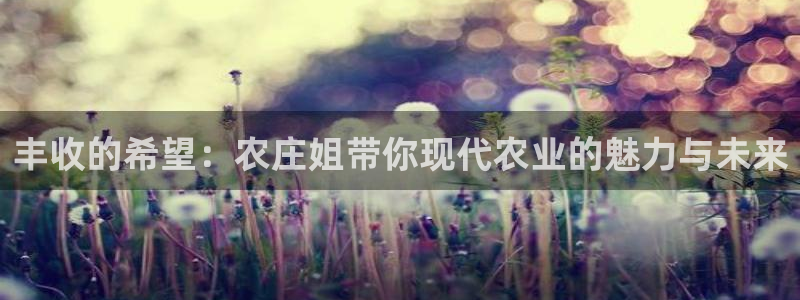 天辰娱乐内部