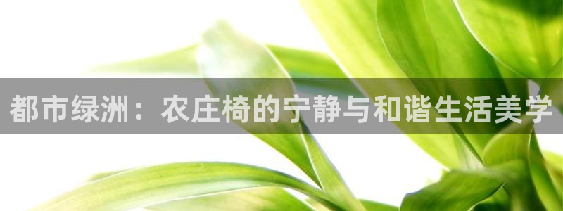 天辰娱乐新