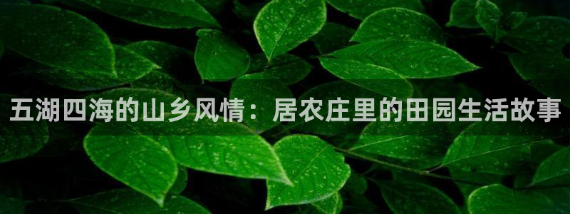 天辰娱乐黑人