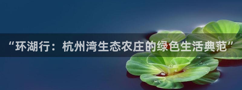 天辰娱乐557696
