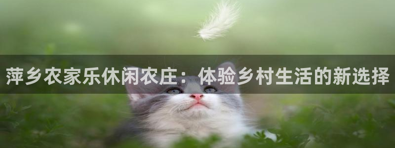 天辰娱乐海洋
